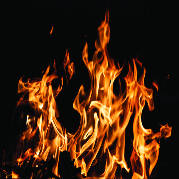 Stacks Image 808